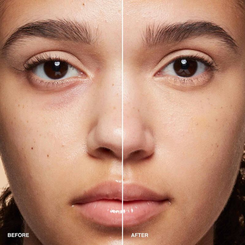 Bobbi Brown  Skin Full Cover Concealer image number 61