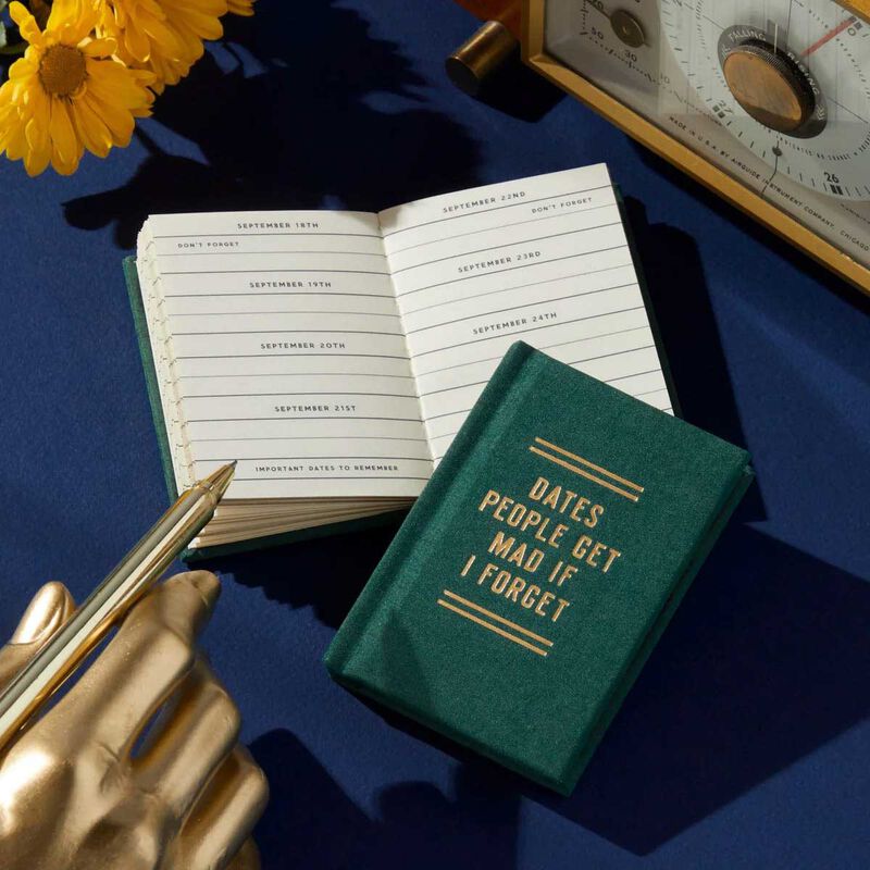 Brass Monkey Dates People Get Mad If I Forget Tiny Diary image number 1
