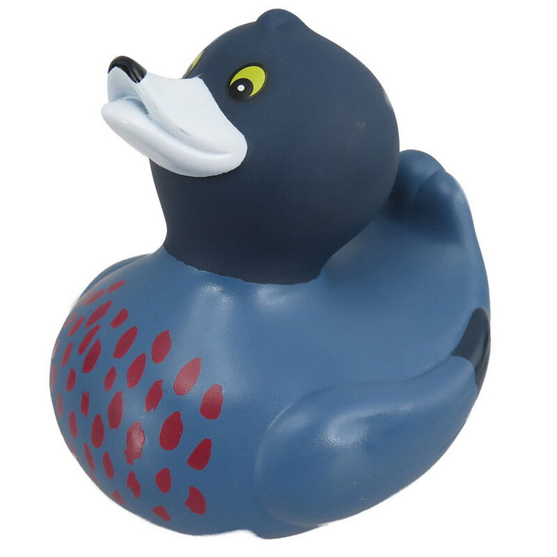 Antics Bath Duck Nz Blue Duck Whio Whio image number 0