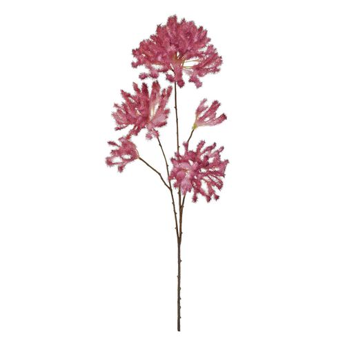 Alison's Acquisitions Smoke Tree Spray Burgundy