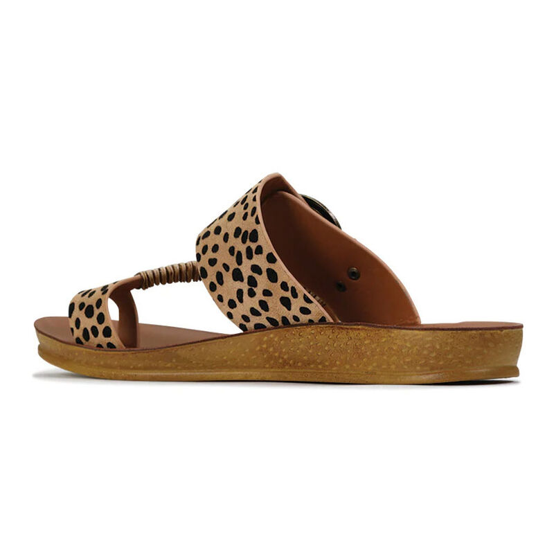 Los Cabos Bria Slide image number 7