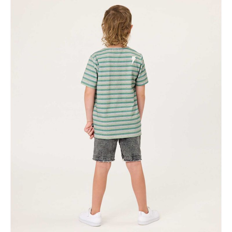 Radicool Dude Grasslands Stripe Tee image number 2