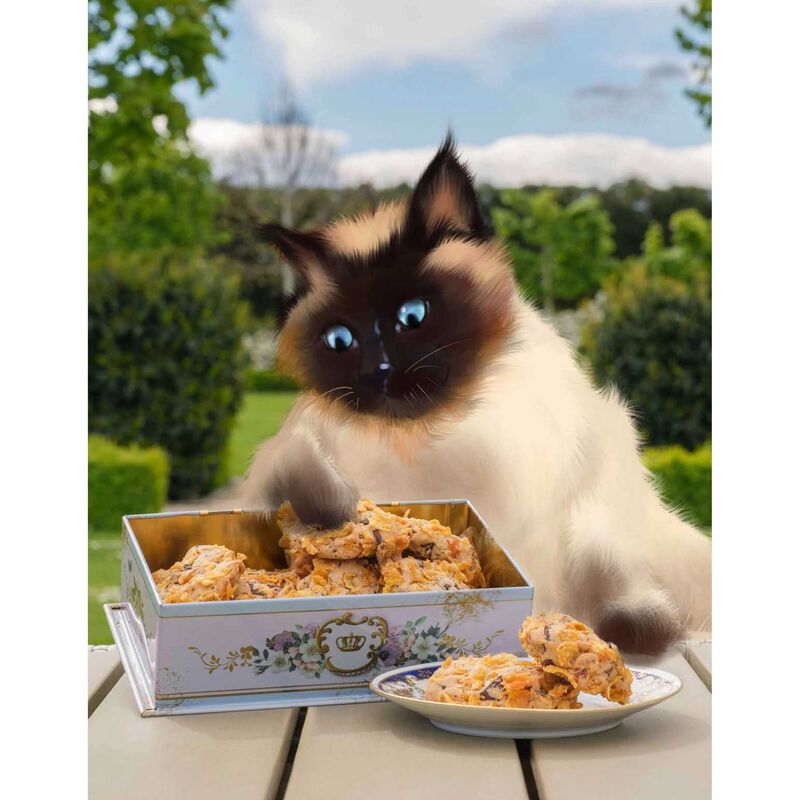 Tails of Tangleby Gardens 3 image number 1