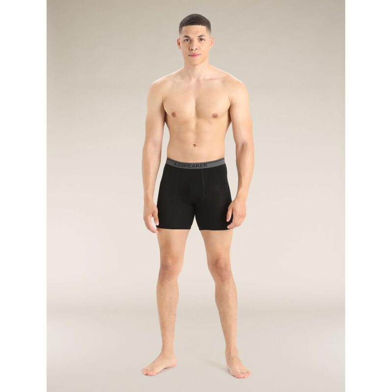 Icebreaker Mens Anatomica Long Boxers image number 2