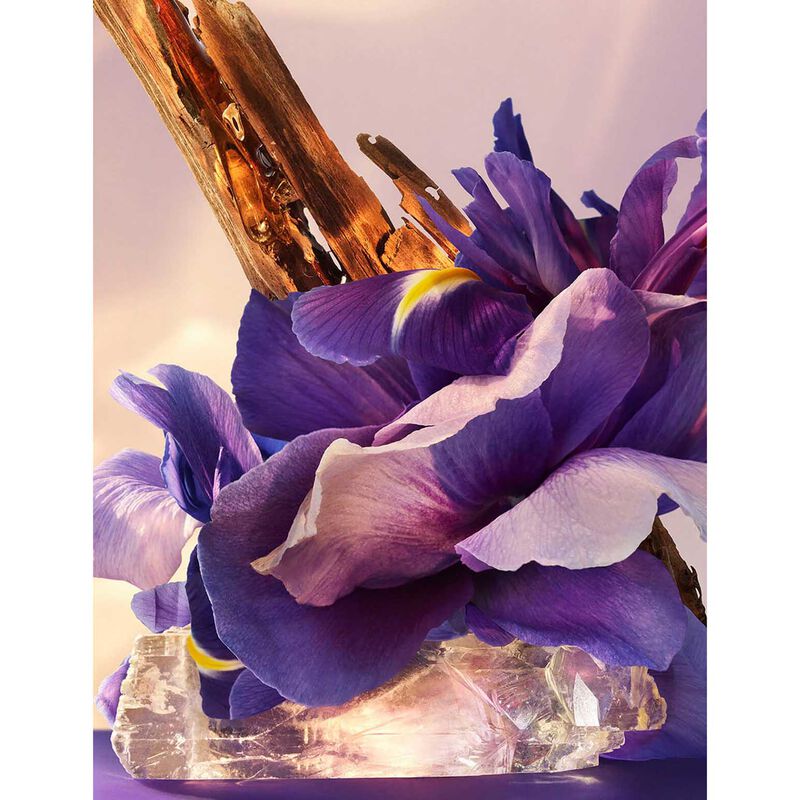 Bvlgari Omnia Amethyste EDP 50ml image number 2