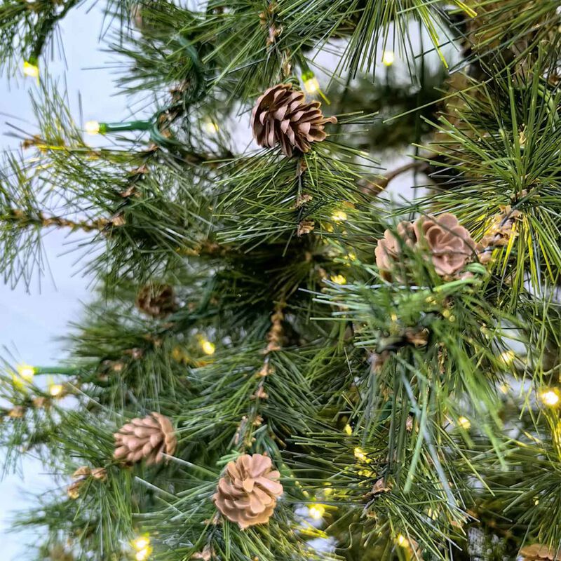 6' Needle Pine Tree with Cones & 200 Led Lights & 316 Tips image number 1