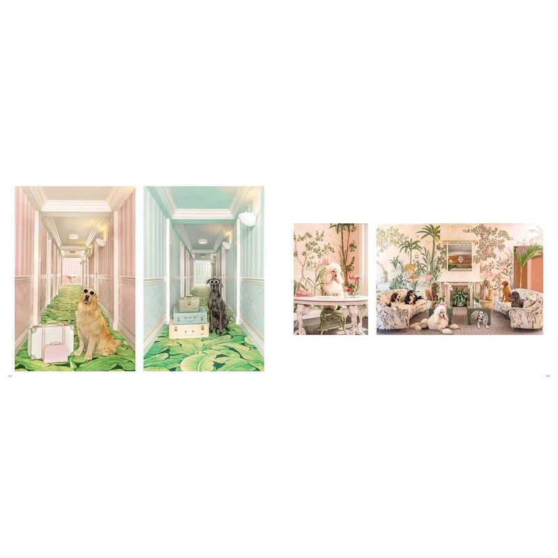 Gray Malin: Dogs image number 3