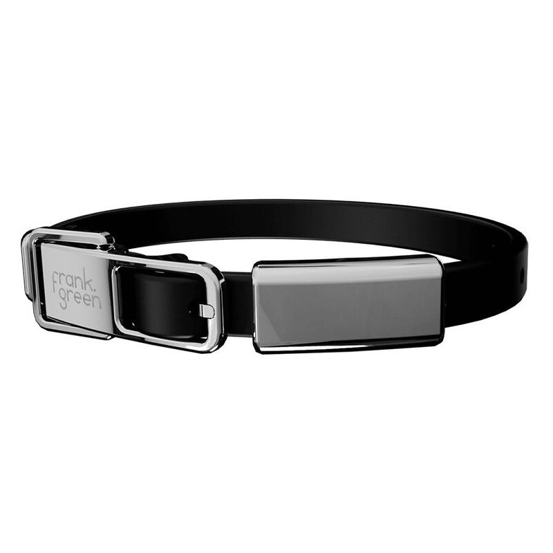 frank green Pet Collar + Name Tag Small Midnight image number 0