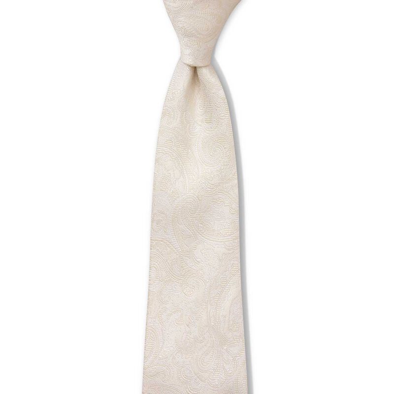 Joe Black Jb Tonal Paisley 7.5Cm Tie image number 8