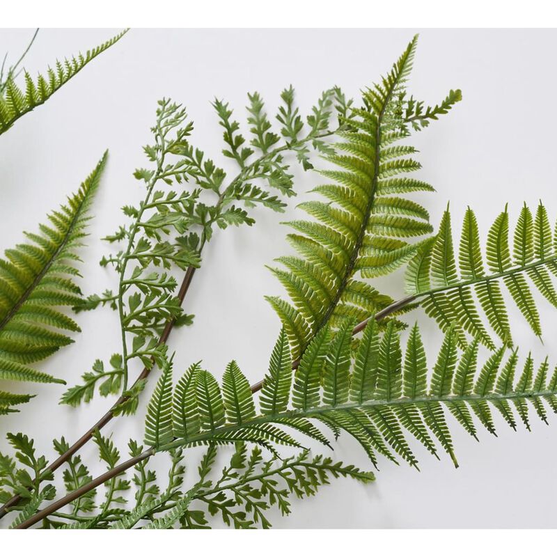 Pottery Barn Fern Bundle image number 2