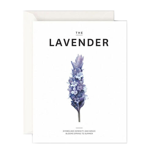 Father Rabbit Stationery The Lavender Card
