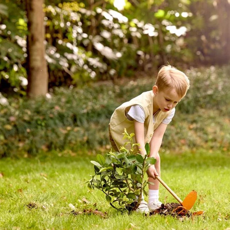 Hape Two Prong Hoe image number 1