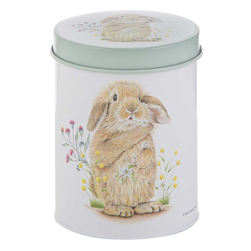 Ashdene Bunny Tales 3Pk Canister image number 3