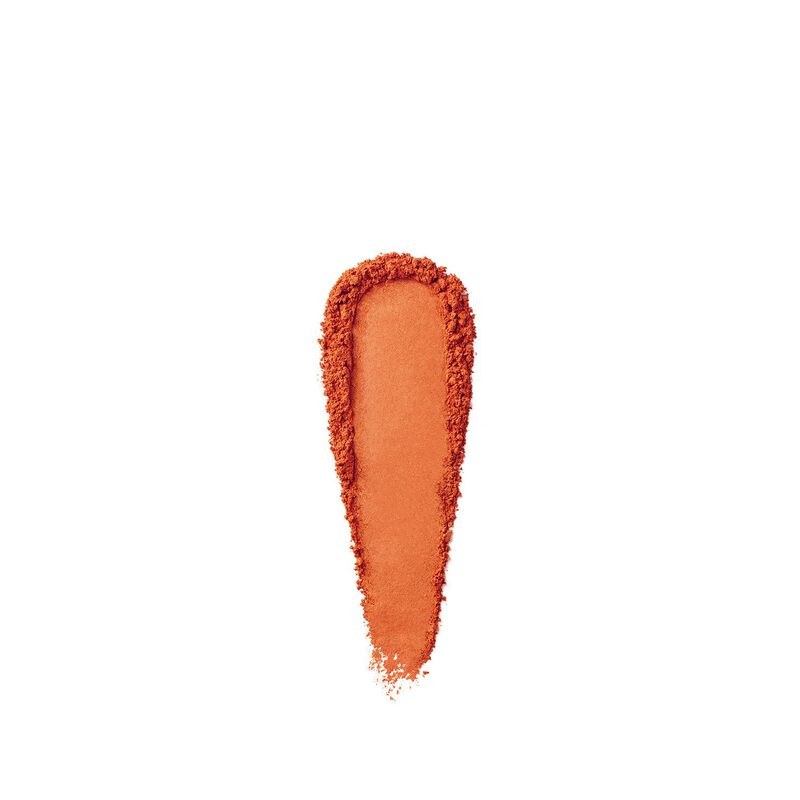 Bobbi Brown Powder Blush image number 33