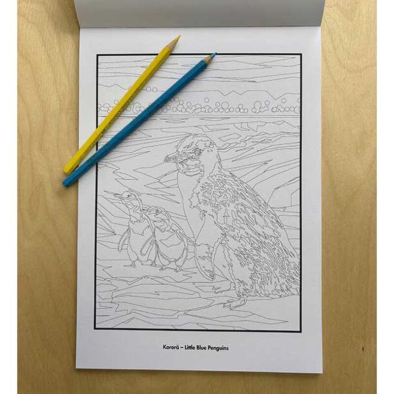 Ira Mitchell Birds of New Zealand Colouring Book image number 1