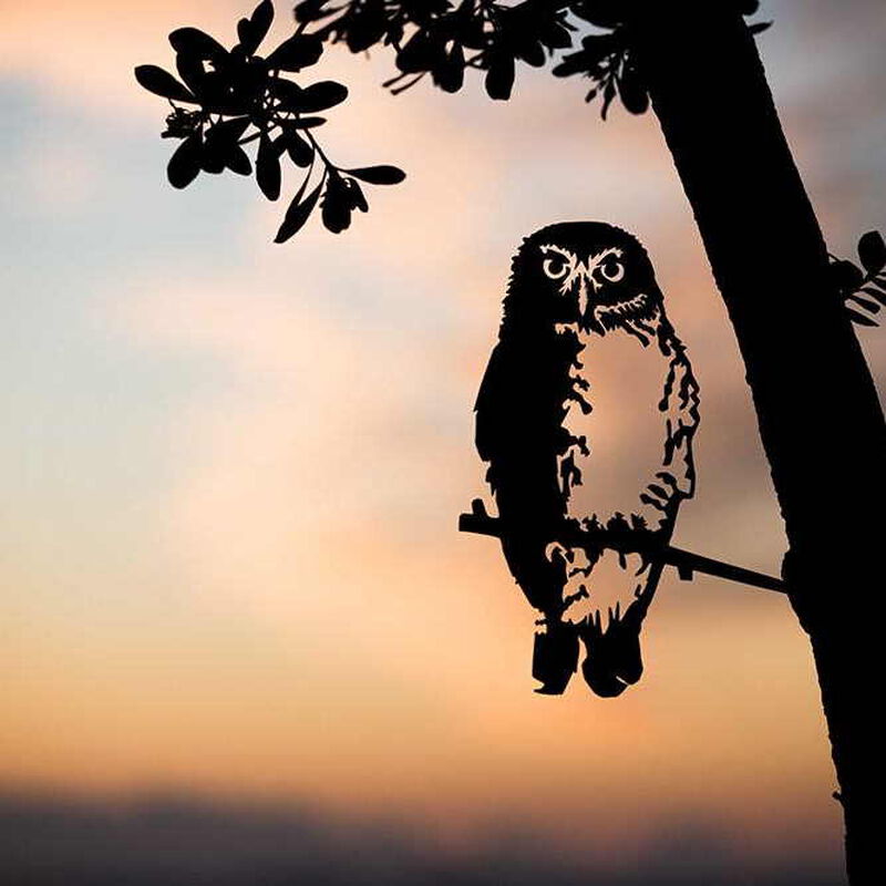 Metalbird NZ Ruru/Morepork image number 1