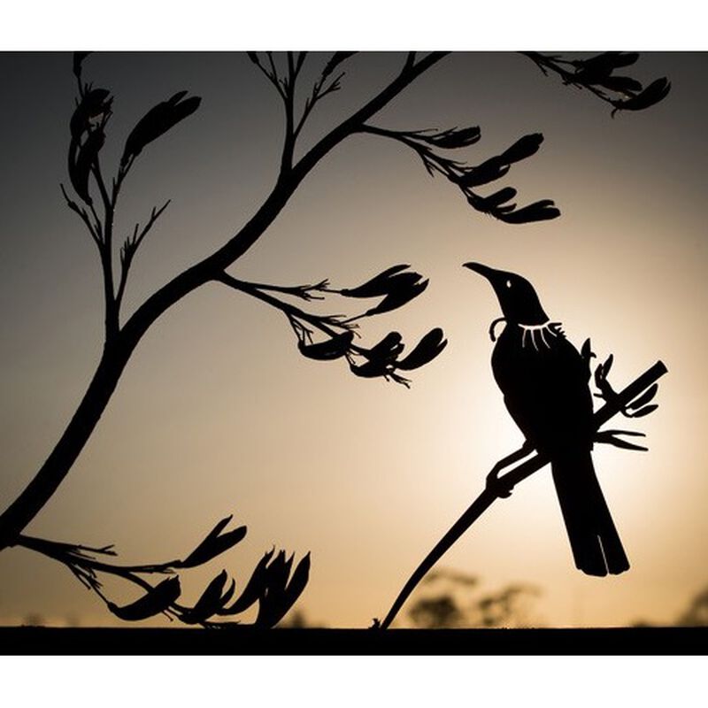 Metalbird NZ Tui image number 1