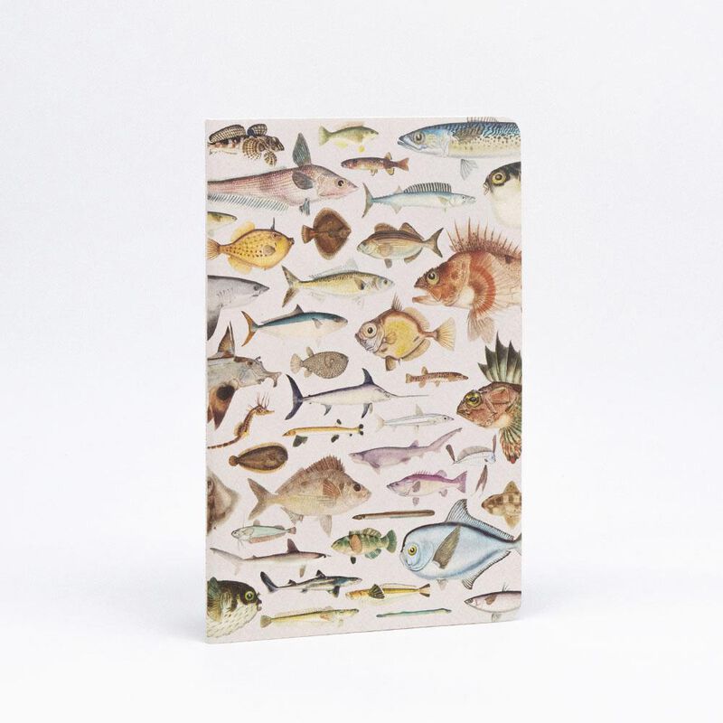Fishes Of NZ Notebook Set image number 3