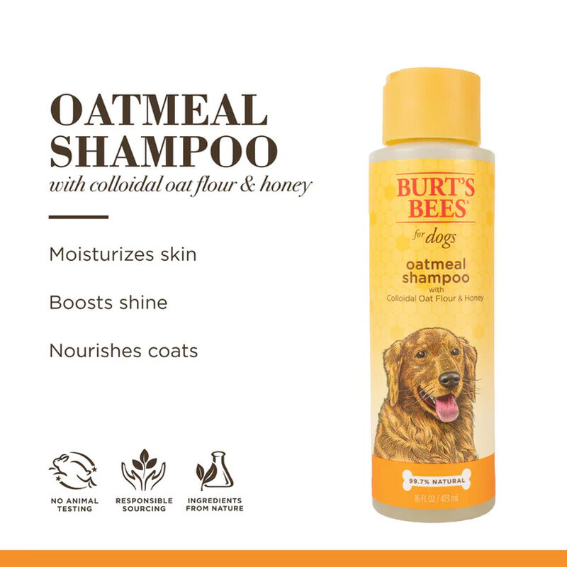 Burt's Bees Oatmeal Dog Shampoo With Colloidal Oat Flour & Honey 473ml image number 1
