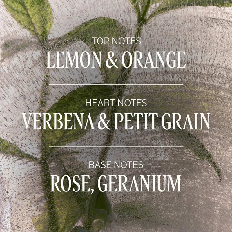 L'Occitane Verbena EDT 75ml image number 2