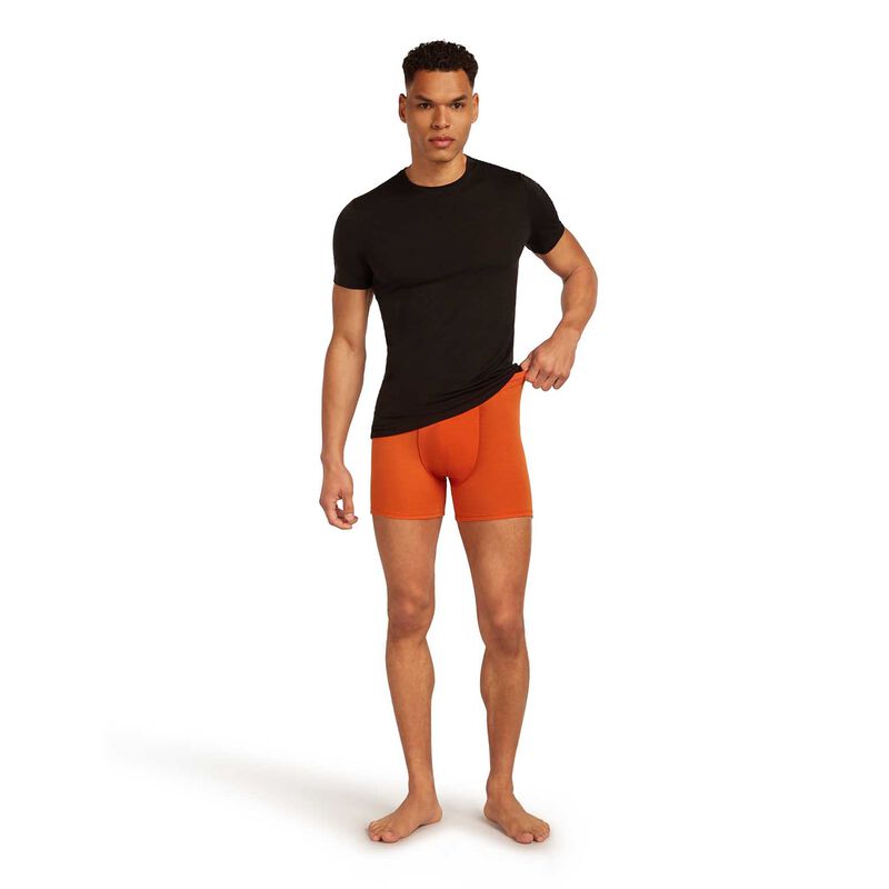 Icebreaker Mens Anatomica Boxers image number 30