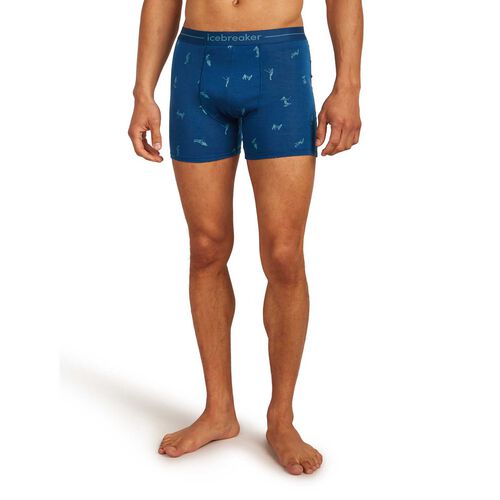 Icebreaker M Merino 150 Anatomica Boxers Ski Day