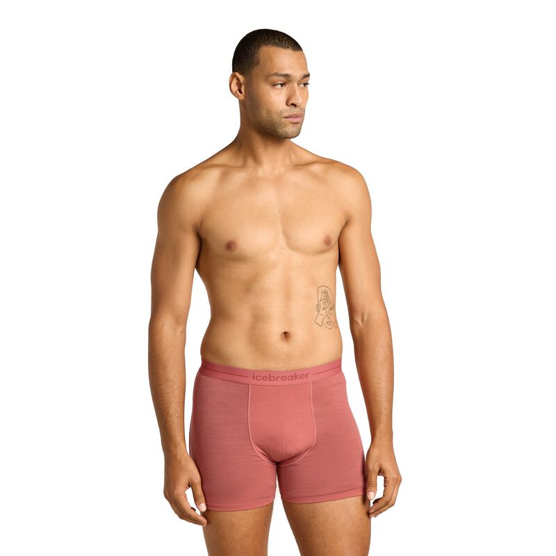 Icebreaker Mens Anatomica Boxers image number 23