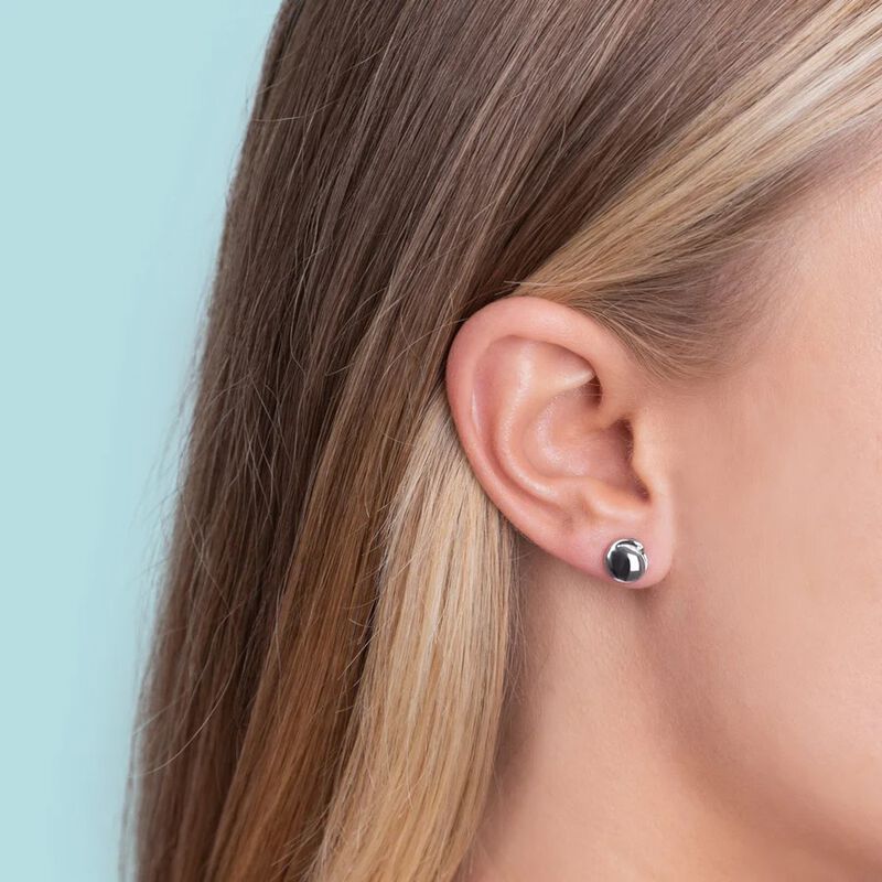 Boh Runga Kiwi Studs image number 1