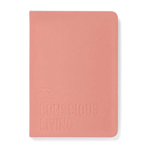 Letts of London Diary Conscious A5 WTV Clay 2026