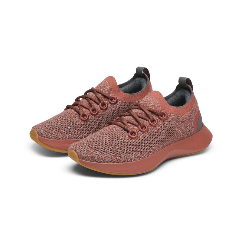 Allbirds Dasher NZ image number 1