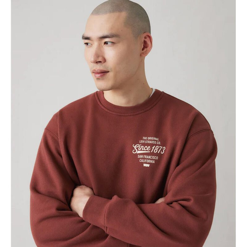 Levi's Relaxd Graphic Crew Relaxed Sweatshirt image number 2