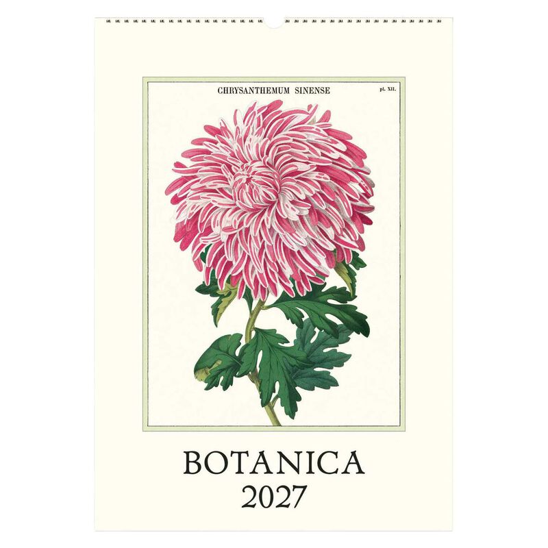 Cavallini Botanica Wall Calendar 2027 image number 0
