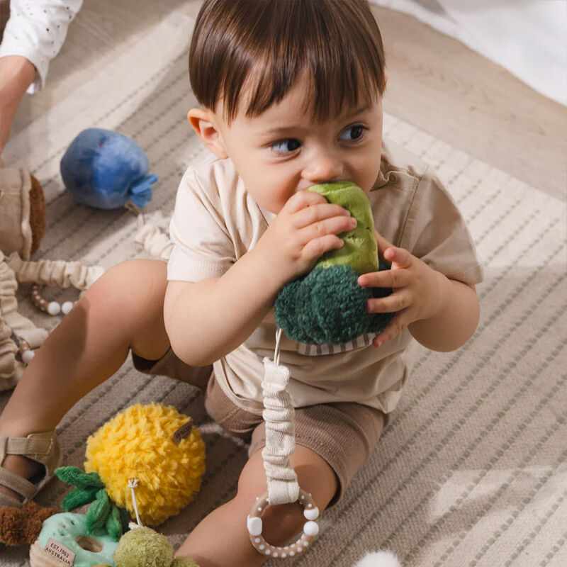 Living Textiles Plush Stroller Toy 2 Pack - Broccoli & Tomato image number 1
