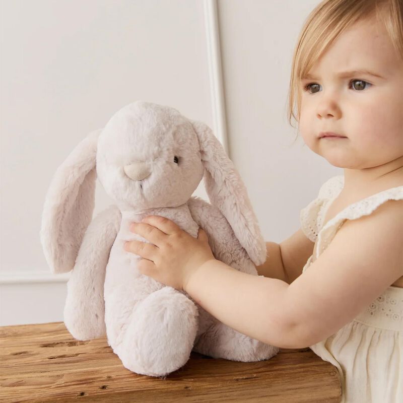 Snuggle Bunnies Fairy Penelope 30cm image number 1