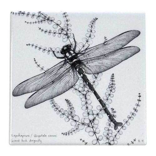 Katy Hayward Coaster - NZ Giant Dragonfly/Kapokapowai