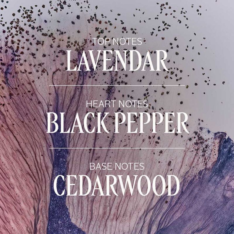 L'Occitane L'Occitan Shower Gel 250ml image number 2