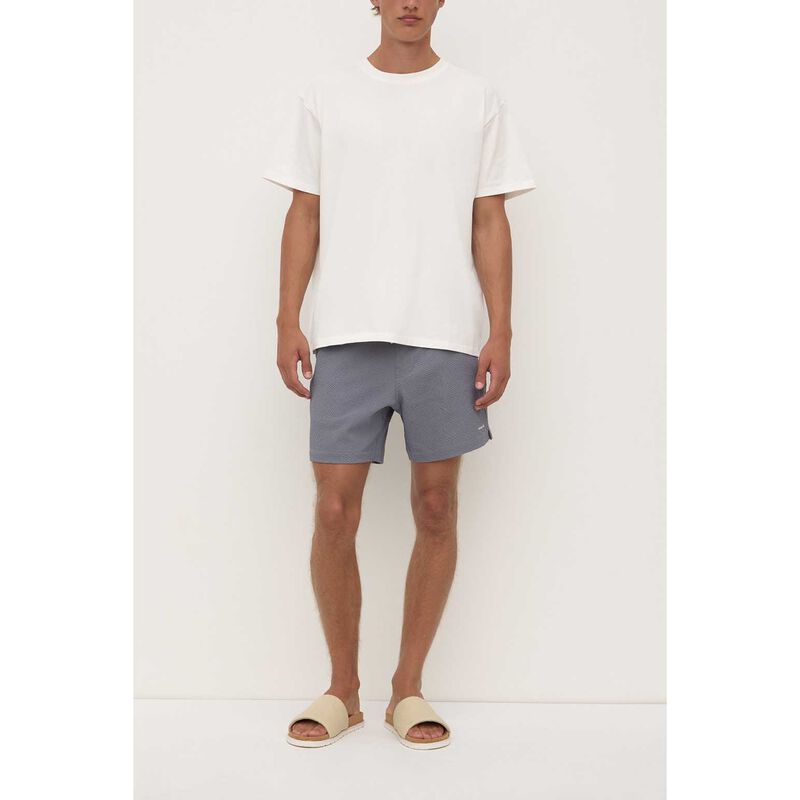 Assembly Label Seth Swim Short Ashphalt image number 3