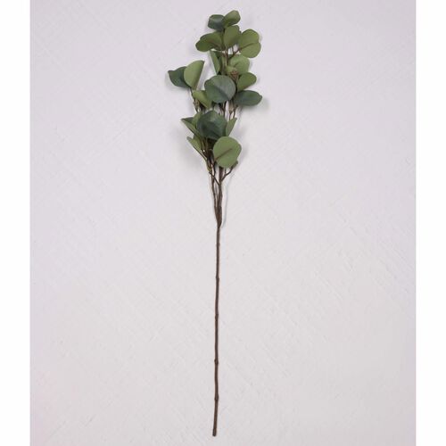 Eucalyptus Spray