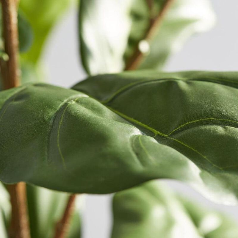Pottery Barn Potted Fiddleleaf image number 1