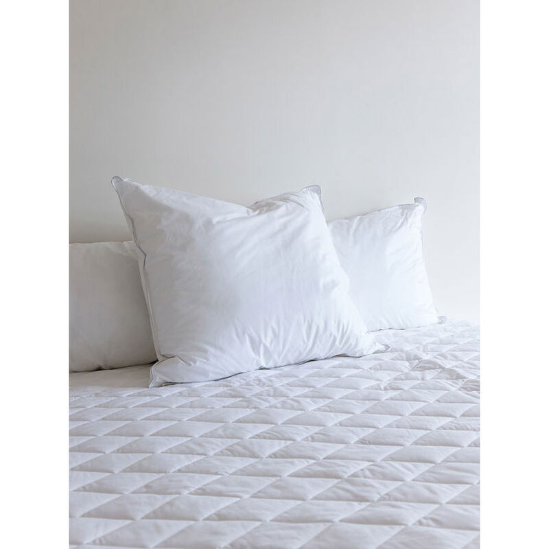 Citt&agrave; Microfibre Pillow Inner Firm 1200g Euro 65x65cm image number 1