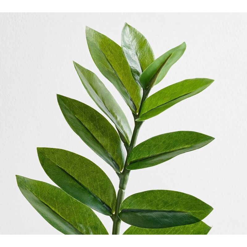 Pottery Barn Faux Potted ZZ Plant image number 1