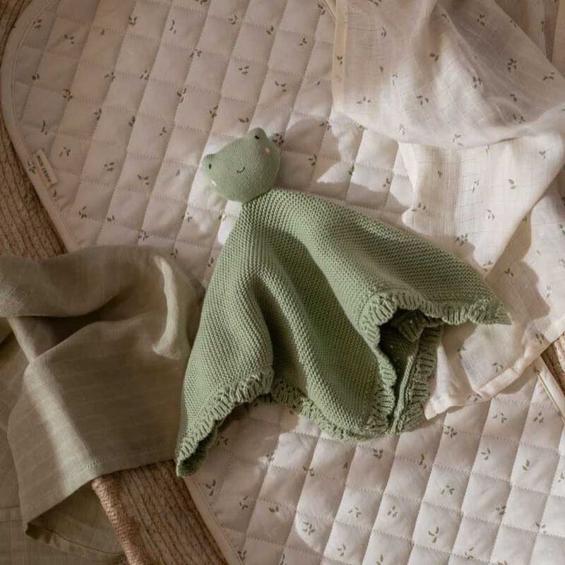 Avery Row Cuddle Cloth - Friendly Frog image number 1