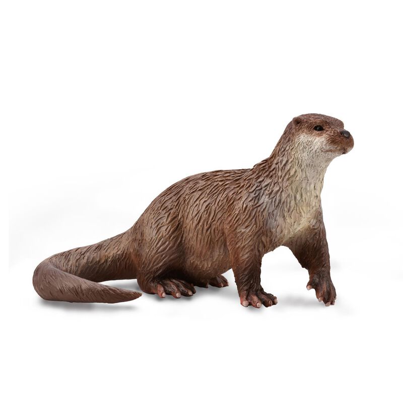 Collecta Common Otter Figurine M image number 0