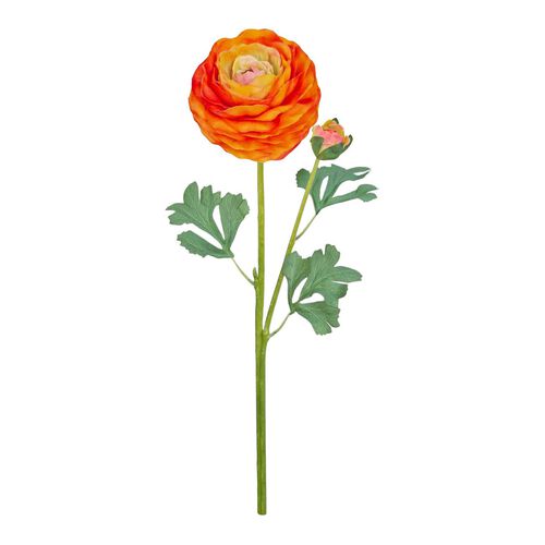 Alison's Acquisitions Large Ranunculus With Bud Orange