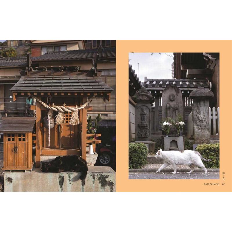 Neko: Cats of Japan by Masayuki Oki image number 1