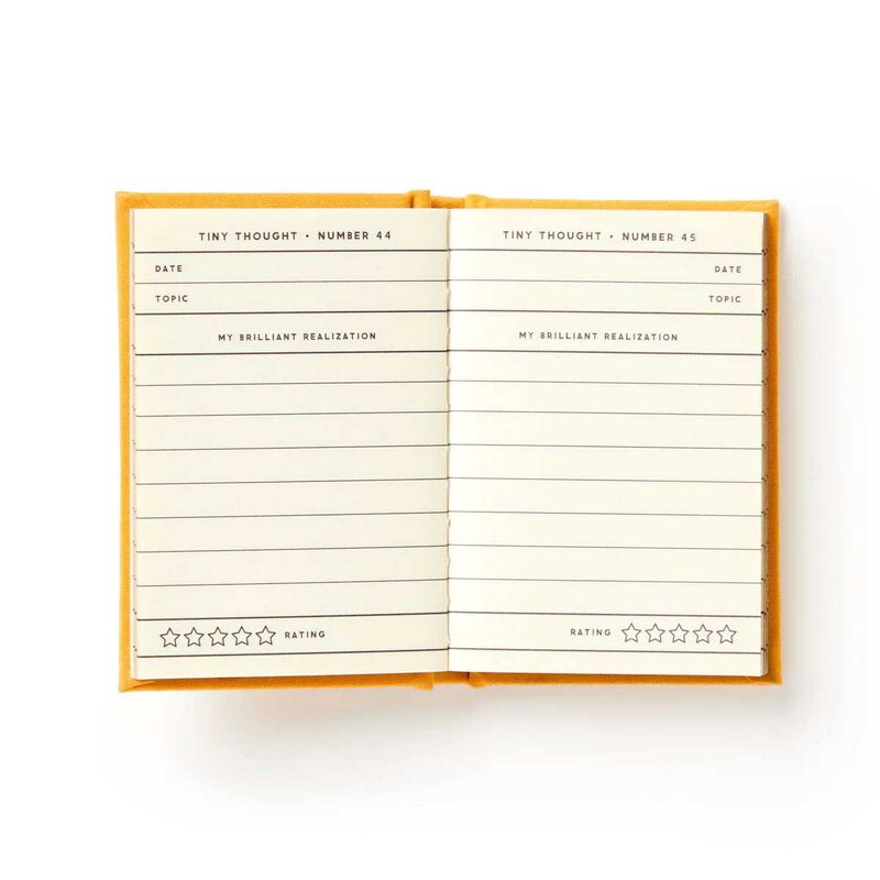 Brass Monkey A Tiny Diary for Tiny Thoughts image number 3