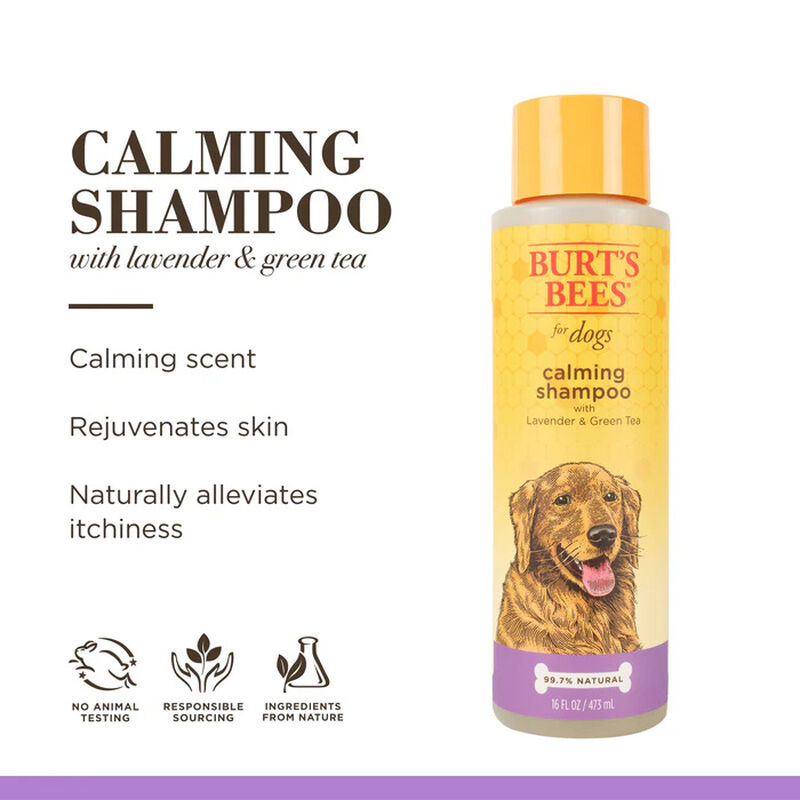Burt's Bees Calming Shampoo With Lavender & Green Tea 473ml image number 1