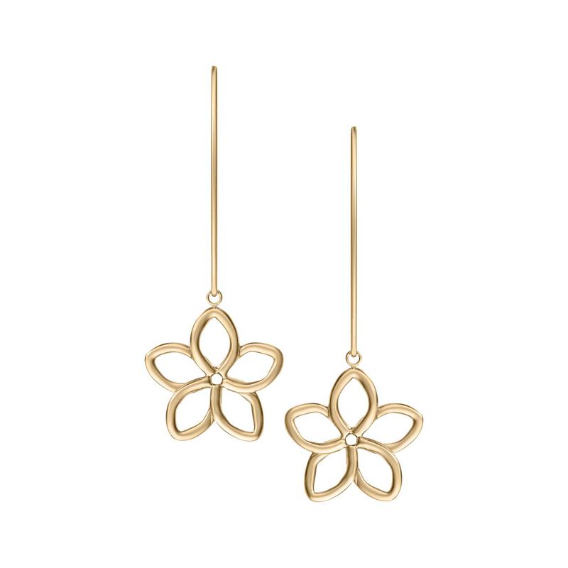 Skagen Moderne Ikon Gold-Tone Drop Earrings image number 1