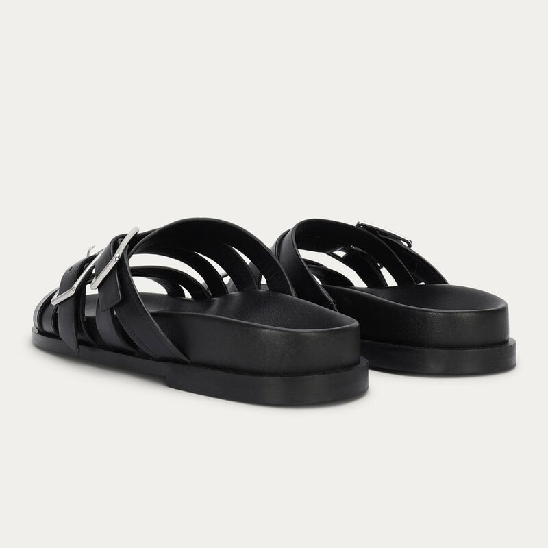 Deadly Ponies Gemini Slide image number 3