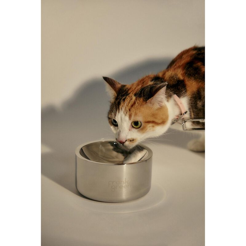 frank green Stainless Steel Pet Bowl - Small image number 1